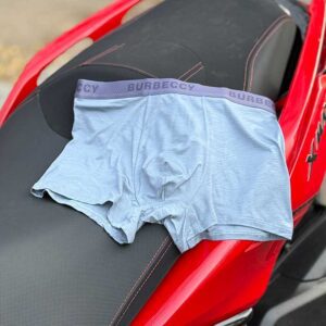 شورت نیمپا یاشن مدل Burbeccy | مودال ۱۰۰٪، کش میکرو، کد 366L