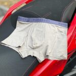 شورت نیم‌پا یاشن مدل Burbeccy | مودال ۱۰۰٪، کش میکرو، کد 366L