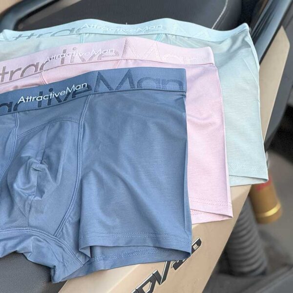 شورت نیم‌پا مردانه ساده یاشن مدل Attractive Man | Boxer Brief