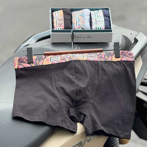 37 شورت نیمپا کش پهن مردانه مدل Boxer Brief برند Etro