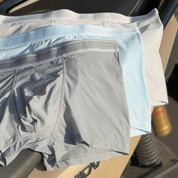 شورت مردانه رنگ یخ در بهشت