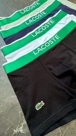 شورت نیم پا مردانه لاگوست Lacoste|مدل کش پهن|پنبه ای و لطیف|کد۱۲۱ - تصویر 2