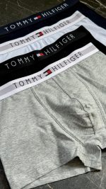شورت نیم پا مردانه تامی هیلفیگر TOMMY HILFIGER|مدل مستر|کد ۱۲۷ - تصویر 2