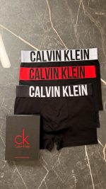 شورت پادار مردانه کلوین کلاین Calvin klein|مدل مستر|نخ پنبه|کد ۱۵۴ - تصویر 2